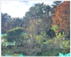  2024Ÿ��62035  �Ӿ߰��