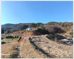  2024Ÿ��62592 ���� ������ ������ ���ϸ� 353-1      ����(��1)���