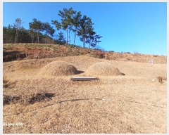  2024Ÿ��62592 ���� ������ ������ ���ϸ� 353-1      ����(��1)���