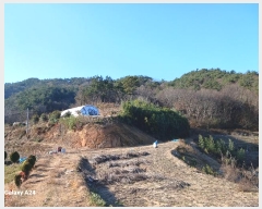  2024Ÿ��62592 ���� ������ ������ ���ϸ� 353-1      ����(��1)���