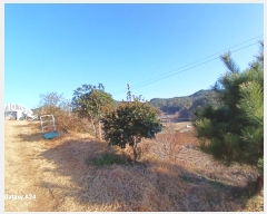  2024Ÿ��62592 ���� ������ ������ ���ϸ� 353-1      ����(��1)���