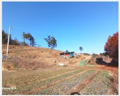  2024Ÿ��62592 ���� ������ ������ ���ϸ� 353-1      ����(��1)���