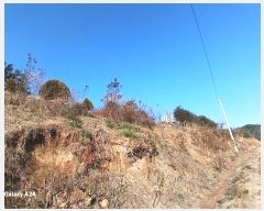  2024Ÿ��62592 ���� ������ ������ ���ϸ� 353-1      ����(��1)���