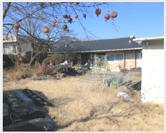  2024Ÿ63212  ʱ  ϸ 315-1      ð