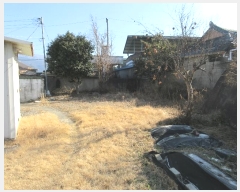  2024Ÿ63212  ʱ  ϸ 315-1      ð