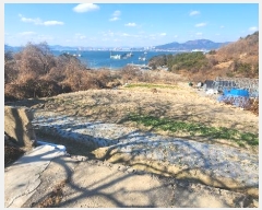  2024Ÿ63397     266-1      ()