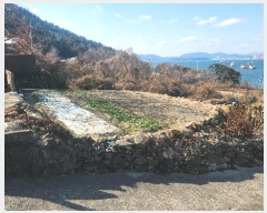  2024Ÿ63397     266-1      ()