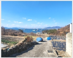  2024Ÿ63397     266-1      ()