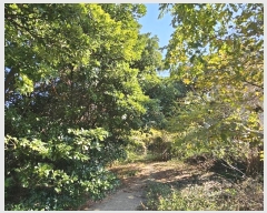  2024Ÿ��5025 ���� ������ ������ ������ 108      ����(��1)���