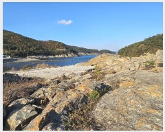  2024Ÿ��5025 ���� ������ ������ ������ 108      ����(��1)���