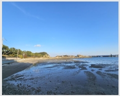  2024Ÿ��5025 ���� ������ ������ ������ 108      ����(��1)���