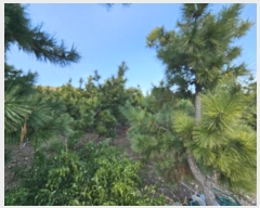  2024Ÿ��5025 ���� ������ ������ ������ 108      ����(��1)���