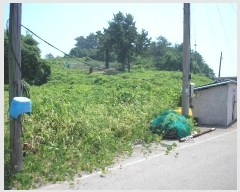  2024Ÿ��57996 ���� ������ ȭ���� ���ڸ� 327      ����(��1)���