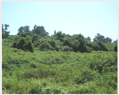  2024Ÿ��57996 ���� ������ ȭ���� ���ڸ� 327      ����(��1)���