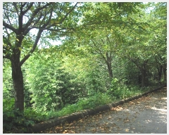  2024Ÿ��57996 ���� ������ ȭ���� ���ڸ� 327      ����(��1)���