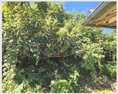  2024Ÿ��58463  ����Ʈ���