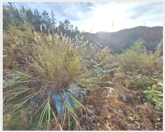  2024Ÿ60978    빮 613-7      ٸü,󰡰