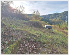  2024Ÿ60978    빮 613-7      ٸü,󰡰