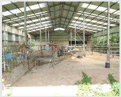  2024Ÿ3814     849      (󰡽ü)