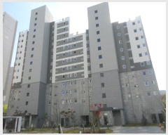  2024Ÿ4084    2 15, 109 7702ȣ (Ÿ)   Ʈ