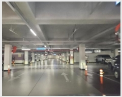  2024Ÿ4084    2 15, 109 7702ȣ (Ÿ)   Ʈ