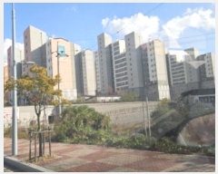  2024Ÿ4084    2 15, 109 7702ȣ (Ÿ)   Ʈ