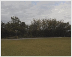  2024Ÿ4794    ʸ 222      (Ӿ)