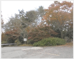  2024Ÿ4794    ʸ 222      (Ӿ)