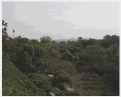  2024Ÿ4794    ʸ 222      (Ӿ)