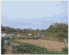  2024Ÿ4794    ʸ 222      (Ӿ)