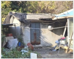  2024Ÿ4794    ʸ 222      (Ӿ)