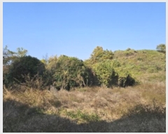  2024Ÿ4794    ʸ 222      (Ӿ)