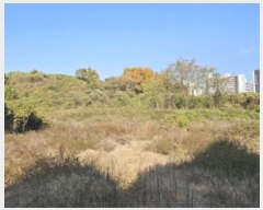  2024Ÿ4794    ʸ 222      (Ӿ)