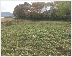  2024Ÿ4916  ﱺ   672-4      ()