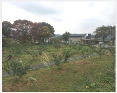  2024Ÿ4916  ﱺ   672-4      ()