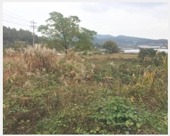  2024Ÿ4916  ﱺ   672-4      ()