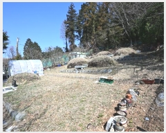  2024Ÿ51967    826-6       (1)