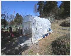  2024Ÿ51967    826-6       (1)