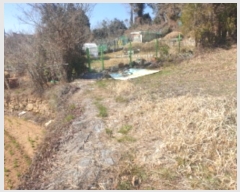  2024Ÿ51967    826-6       (1)