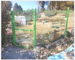  2024Ÿ51967    826-6       (1)