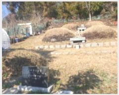  2024Ÿ51967    826-6       (1)