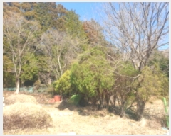  2024Ÿ51967    826-6       (1)