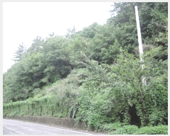  2024Ÿ��56511 ���� ������ ������ ������ ��311-1      ����(�Ӿ�)���