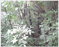  2024Ÿ��56511 ���� ������ ������ ������ ��311-1      ����(�Ӿ�)���