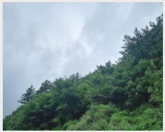  2024Ÿ��56511 ���� ������ ������ ������ ��311-1      ����(�Ӿ�)���