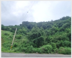  2024Ÿ��56511 ���� ������ ������ ������ ��311-1      ����(�Ӿ�)���