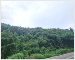  2024Ÿ��56511 ���� ������ ������ ������ ��311-1      ����(�Ӿ�)���