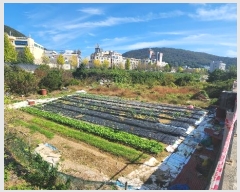  2024Ÿ��61162  ����