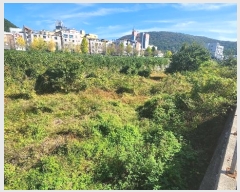  2024Ÿ��61162  ����