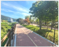  2024Ÿ��61162  ����